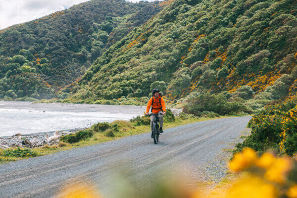 Full Day Exploring Wellington's Rugged Pencarrow Coast on E-Bike - Image 2
